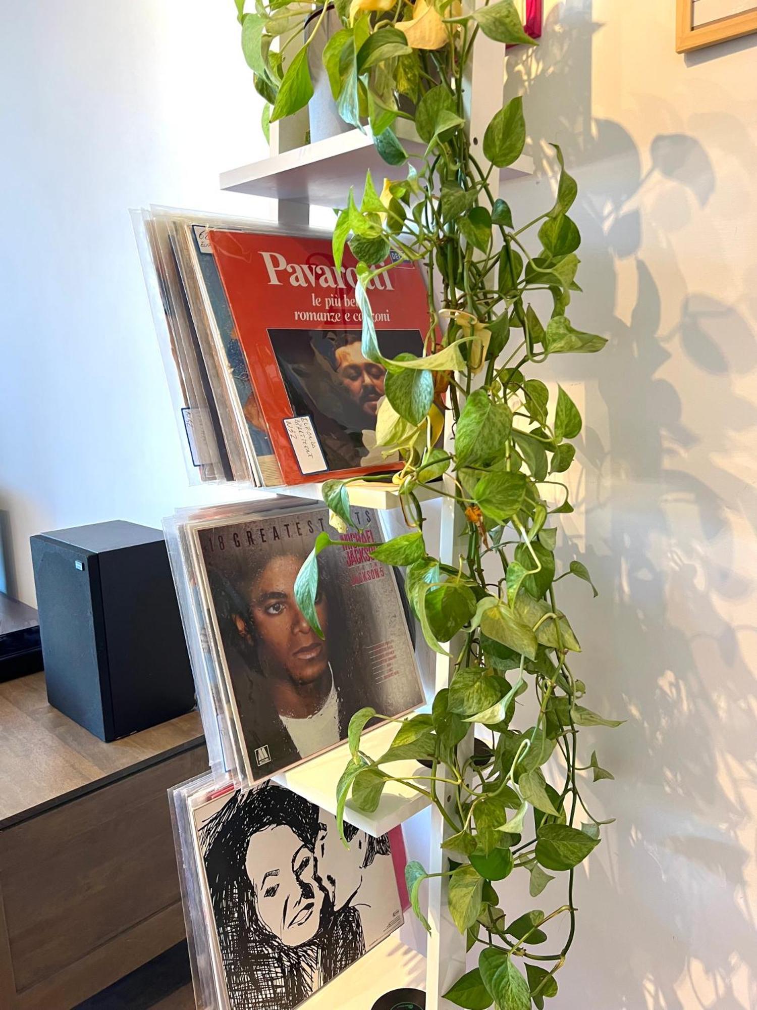 Eufonia Vinyl Friendly Apartment Rome Bagian luar foto